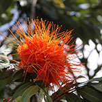 John Shea O'Donnell Photography, San Francisco